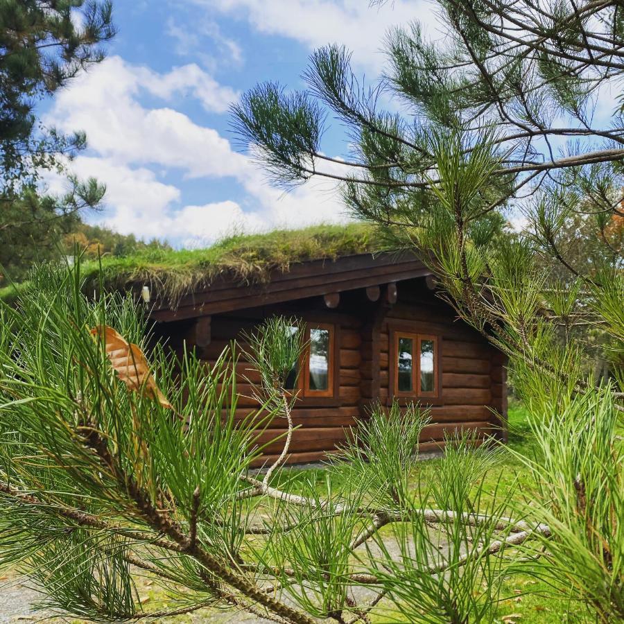 Log Home Village Ulverston Exterior foto